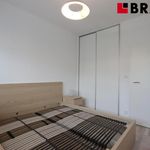Rent 2 bedroom apartment of 61 m² in Brno