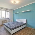 Rent 1 bedroom apartment of 82 m² in Plzeň