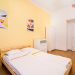 Rent 1 bedroom apartment of 20 m² in Praha