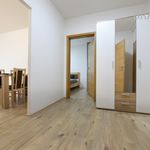 Pronajměte si 2 ložnic/e byt o rozloze 43 m² v Praha