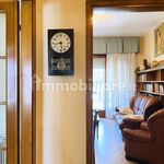 Affitto 5 camera appartamento di 120 m² in Camaiore