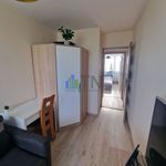 Wynajmij 3 sypialnię apartament z 55 m² w Czernica