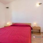 Affitto 4 camera appartamento di 120 m² in Campofelice di Roccella
