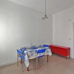 Rent 1 bedroom apartment of 20 m² in Pisa