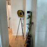 Rent 1 bedroom apartment in Antwerpen
