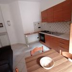Rent 2 bedroom apartment of 45 m² in Alessandria