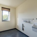 Rent 4 bedroom house of 566 m² in Balen
