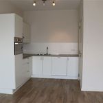 Rent 1 bedroom apartment of 58 m² in Puurs