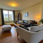 Rent 1 bedroom apartment in QUIMPER
