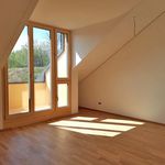 Rent 3 bedroom apartment of 71 m² in Lingenau