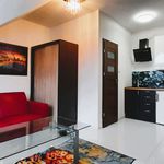 Rent 1 bedroom apartment of 18 m² in Łomianki