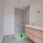 Rent 4 bedroom house of 188 m² in Ingelmunster