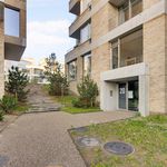 Rent 3 bedroom apartment of 157 m² in Hellerup