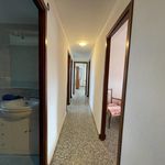 Rent 4 bedroom apartment of 98 m² in El Perellonet