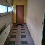 Rent 1 bedroom apartment of 35 m² in Liberec