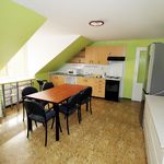 Rent 3 bedroom apartment of 125 m² in Kadaň