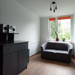 Rent 4 bedroom apartment of 69 m² in Biała Podlaska