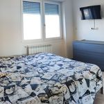Affitto 4 camera appartamento di 80 m² in Pomezia