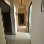 Rent 2 bedroom apartment of 100 m² in Caltanissetta