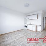 Rent 1 bedroom apartment of 33 m² in Jirkov