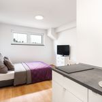 Rent 1 bedroom apartment of 20 m² in Kassel