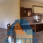 Rent 3 bedroom apartment of 70 m² in Pistoia