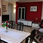 Rent 1 bedroom apartment in Benidorm