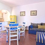 Rent 3 bedroom apartment of 115 m² in Stintino