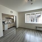 Rent 1 bedroom apartment in Hradec Králové