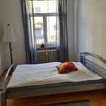 Rent 2 bedroom apartment of 50 m² in Freiburg im Breisgau