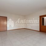 Rent 1 bedroom apartment of 97 m² in Roma