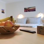 Rent 1 bedroom apartment of 26 m² in Trier