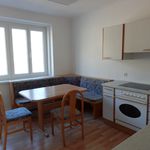 Rent 1 bedroom apartment of 50 m² in Reichenau an der Rax