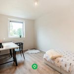 Rent 3 bedroom house in Torhout
