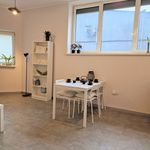 Rent 2 bedroom apartment of 39 m² in Zgierz