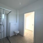 Rent 3 bedroom apartment of 59 m² in Riegersburg