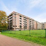 Rent 1 bedroom apartment of 45 m² in Evere