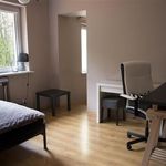 Rent 1 bedroom house of 300 m² in Bydgoszcz