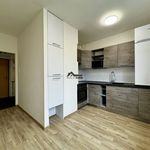 Rent 1 bedroom apartment of 40 m² in Karviná