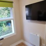 Rent 18 bedroom apartment in Dublin