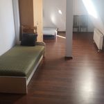 Rent 2 bedroom apartment of 56 m² in Poznań