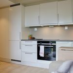 Rent 2 bedroom apartment of 29 m² in Trondheim
