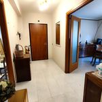 Rent 5 bedroom apartment of 110 m² in Ragusa