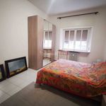 Rent 5 bedroom apartment of 135 m² in Verona