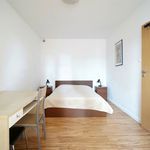 Rent 2 bedroom apartment of 52 m² in Łódź