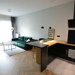 Rent 2 bedroom apartment of 43 m² in Bielsko-Biała