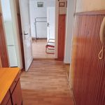 Rent 3 bedroom apartment of 56 m² in Szczecin