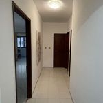 Rent 2 bedroom apartment in Arroja