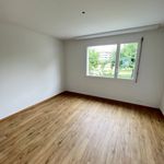 Rent 1 bedroom apartment in Wangen bei Olten