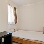 Huur 2 slaapkamer appartement van 78 m² in Berlare
